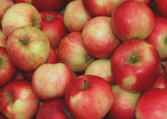 Sacs d'emballage pour noix et fruits